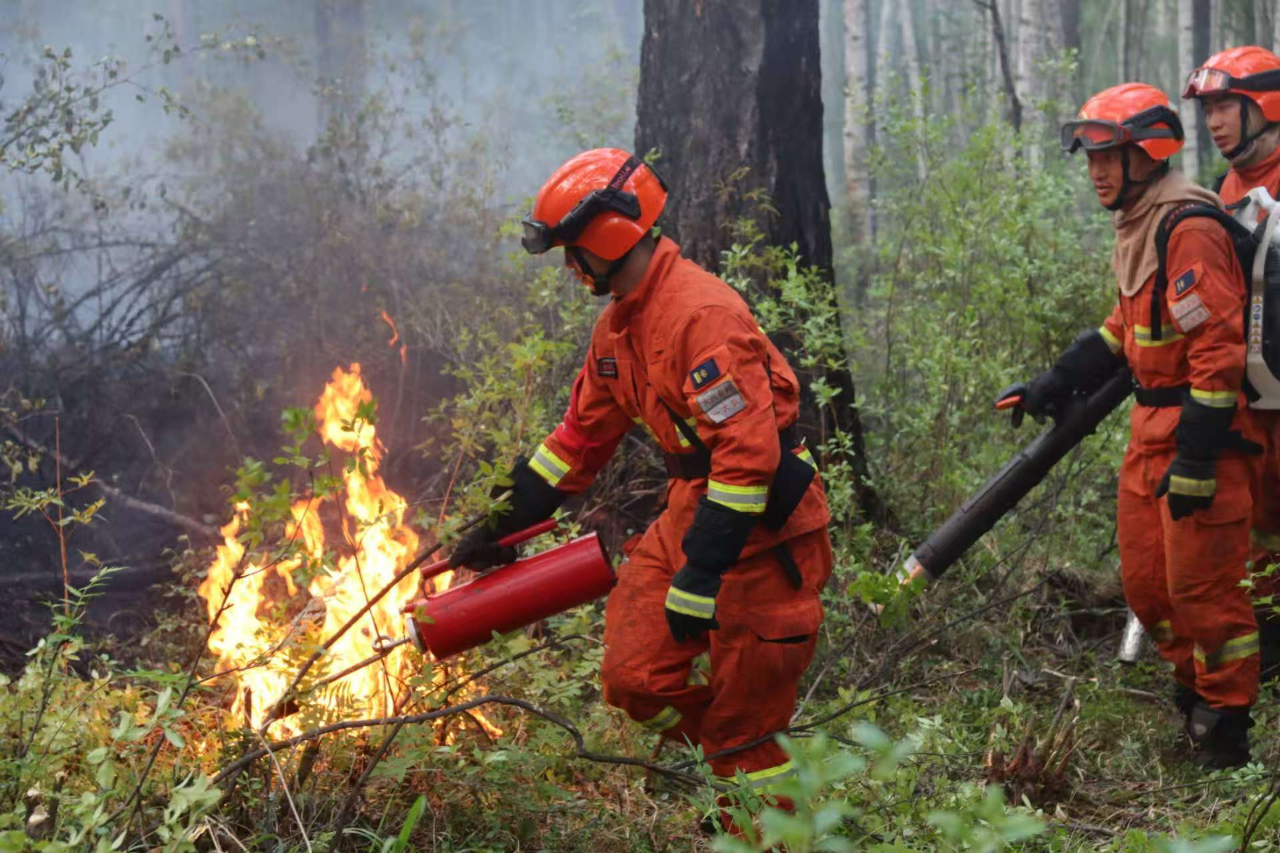 1758523240214619.png f6adde68-d2eb-4254-bffc-22ad23a11167.png